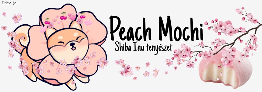 Peach Mochi Shibas (c)